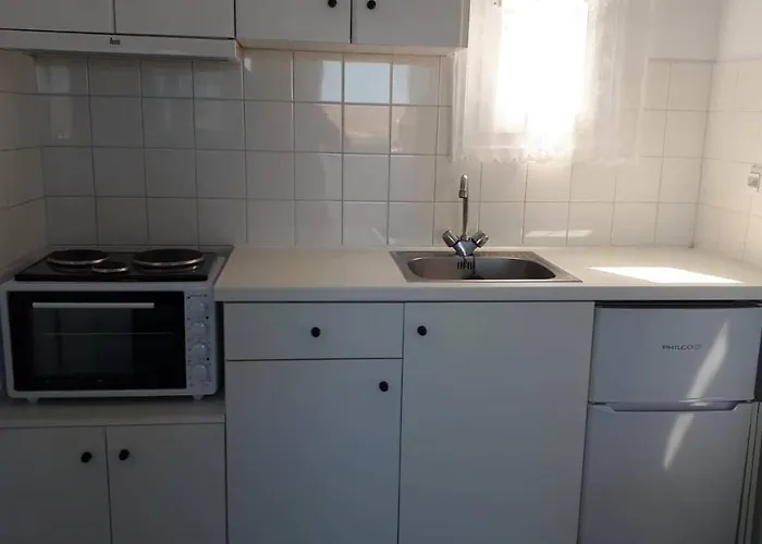 Ammonitis * Livadi (Serifos)